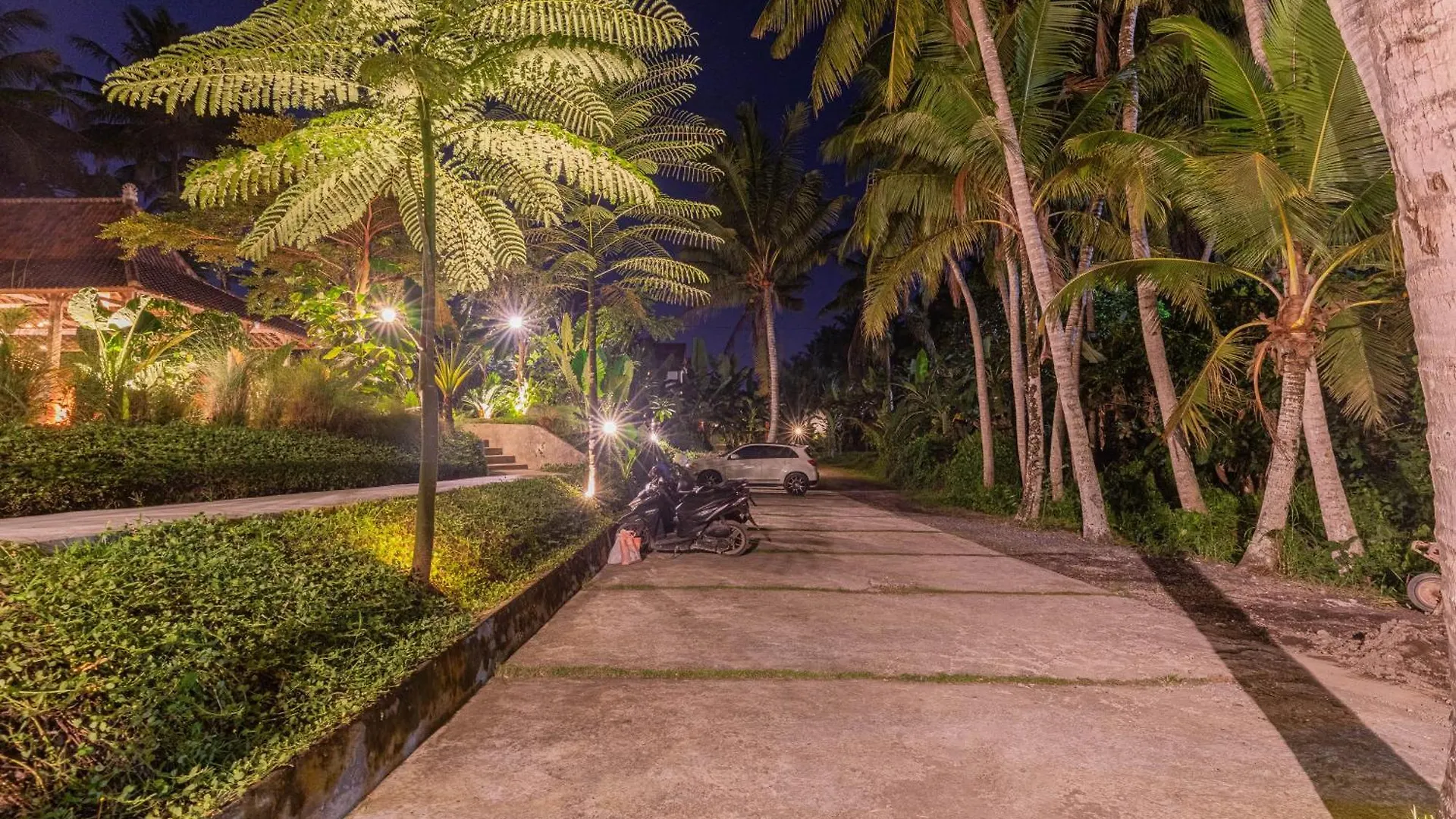 Abian Ubud View