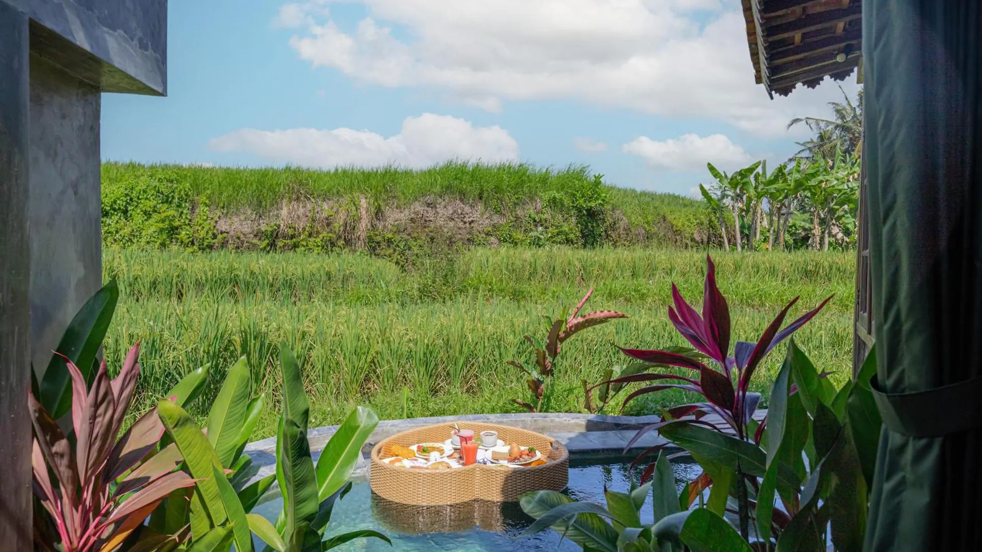 Abian Ubud View