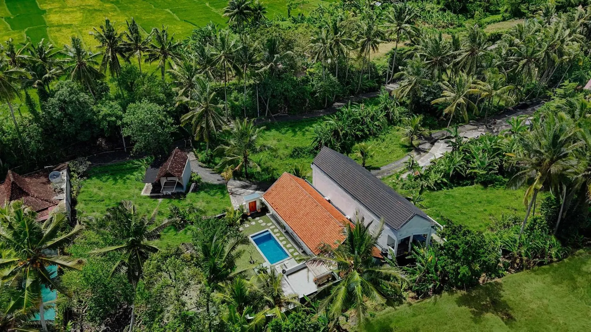 Abian Ubud View אובוד